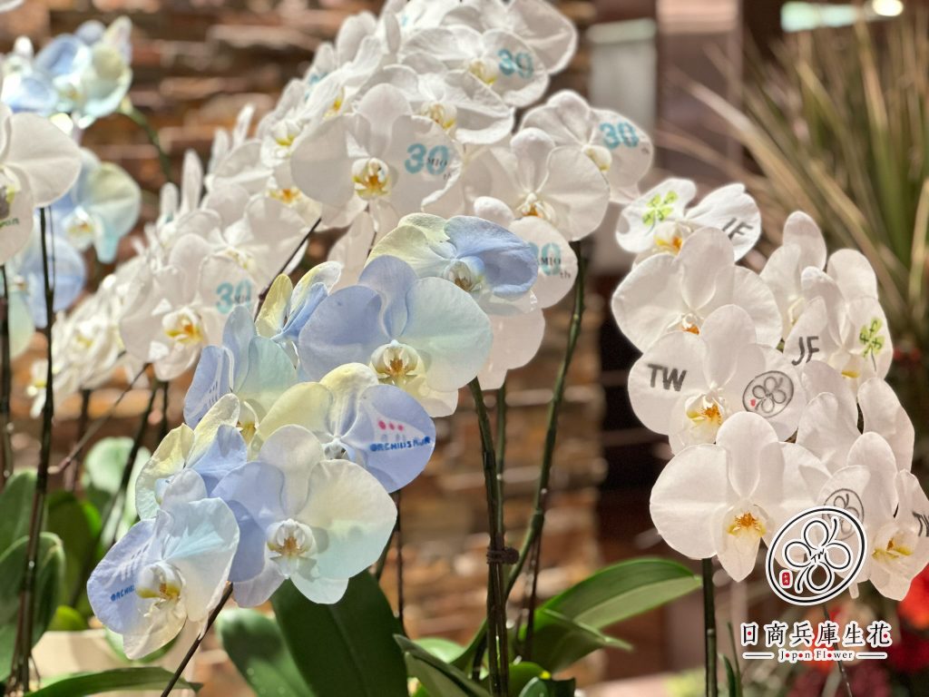 天王寺ミオ花育イベンド