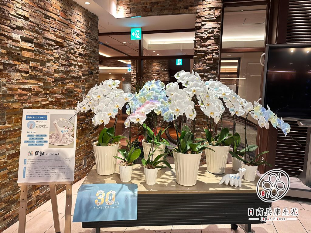 天王寺花育活動