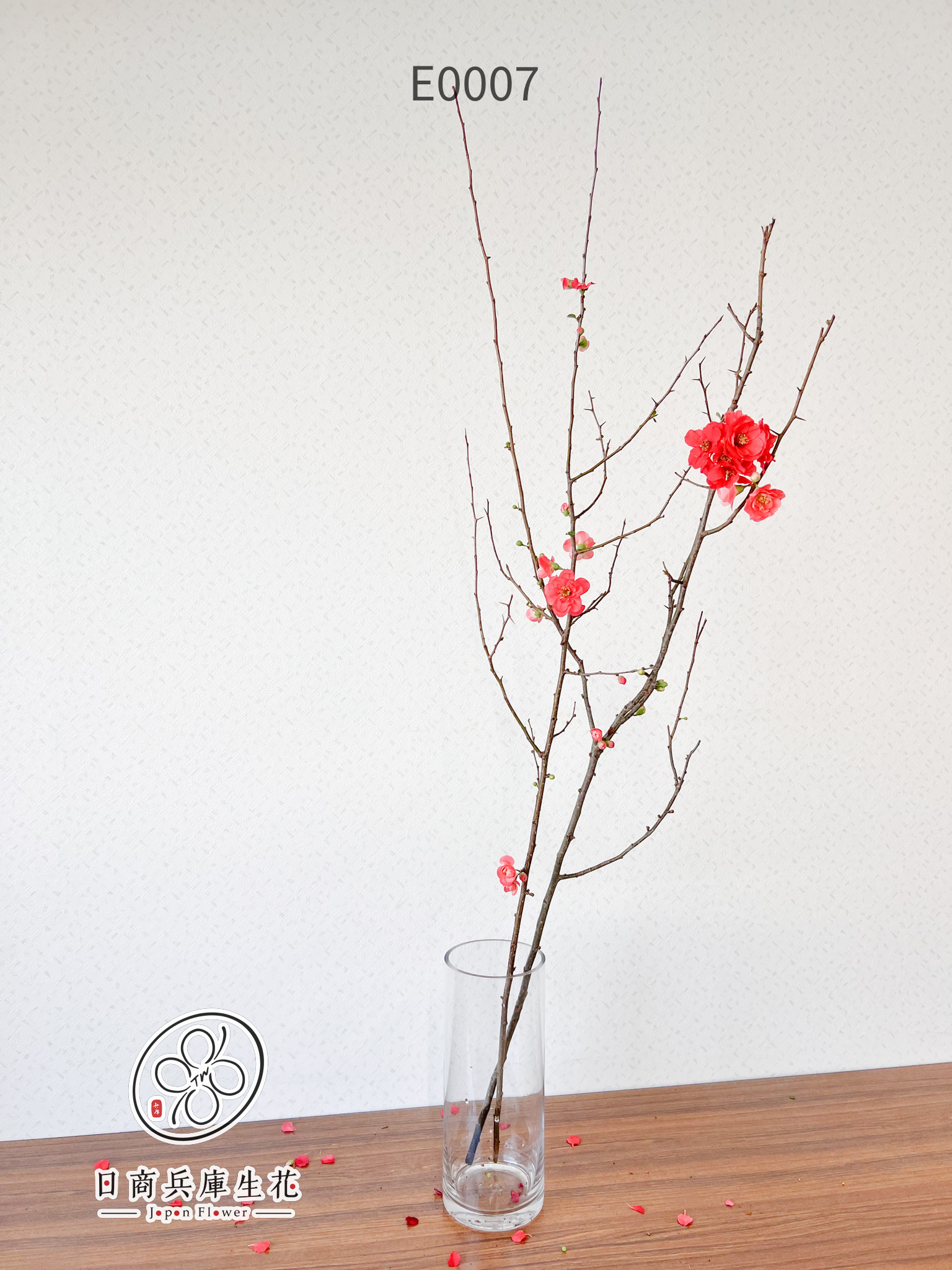 木瓜花-E0007 (1) 日本進口木瓜花