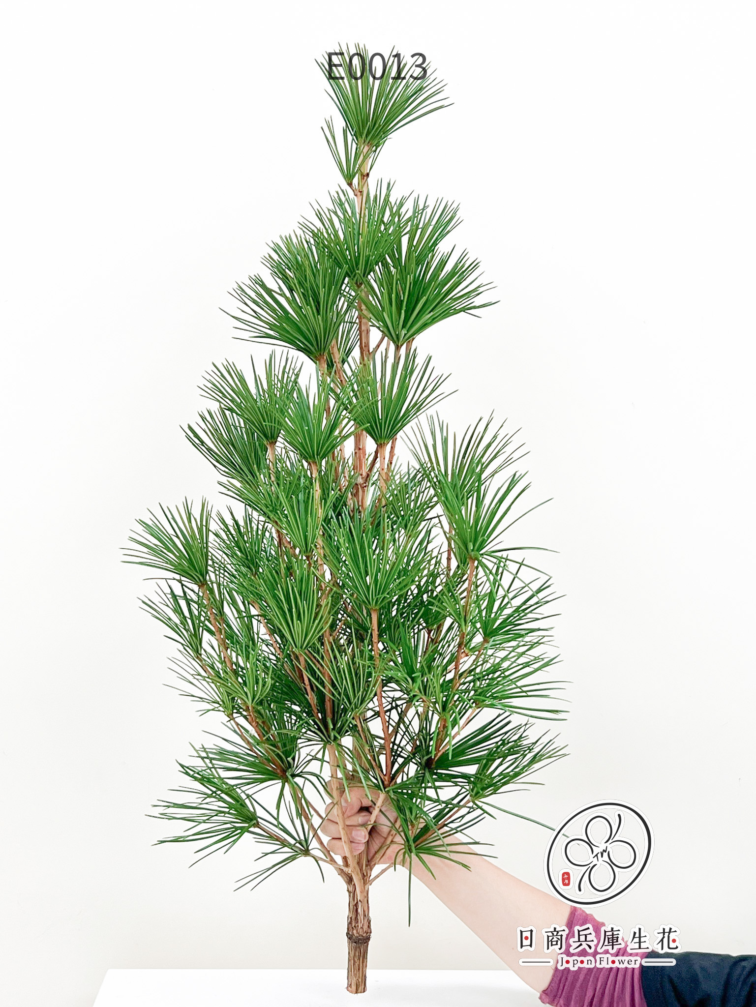 高野金松-E0013 (1) 日本進口高野金松