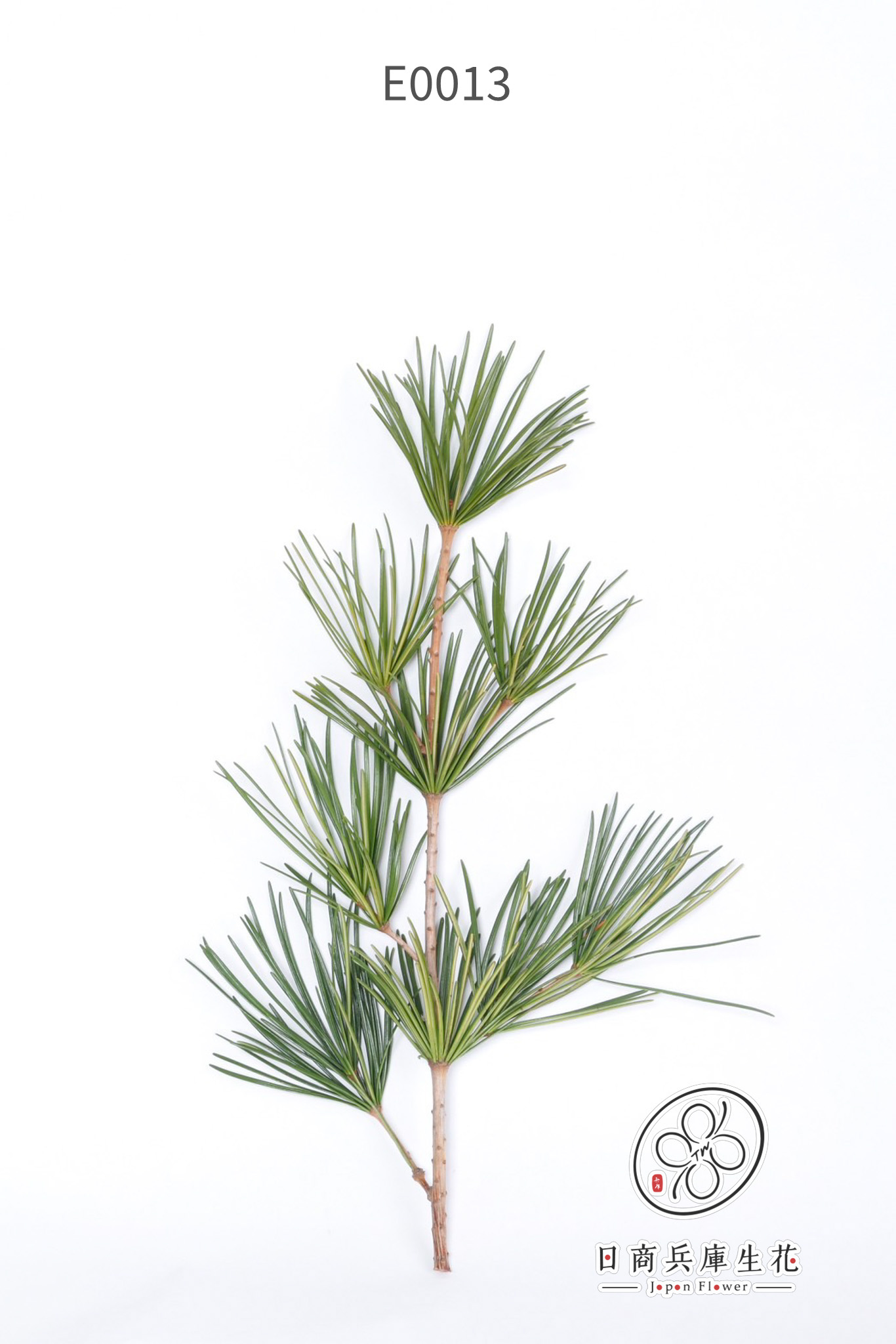 高野金松-E0013 (2) 日本進口高野金松