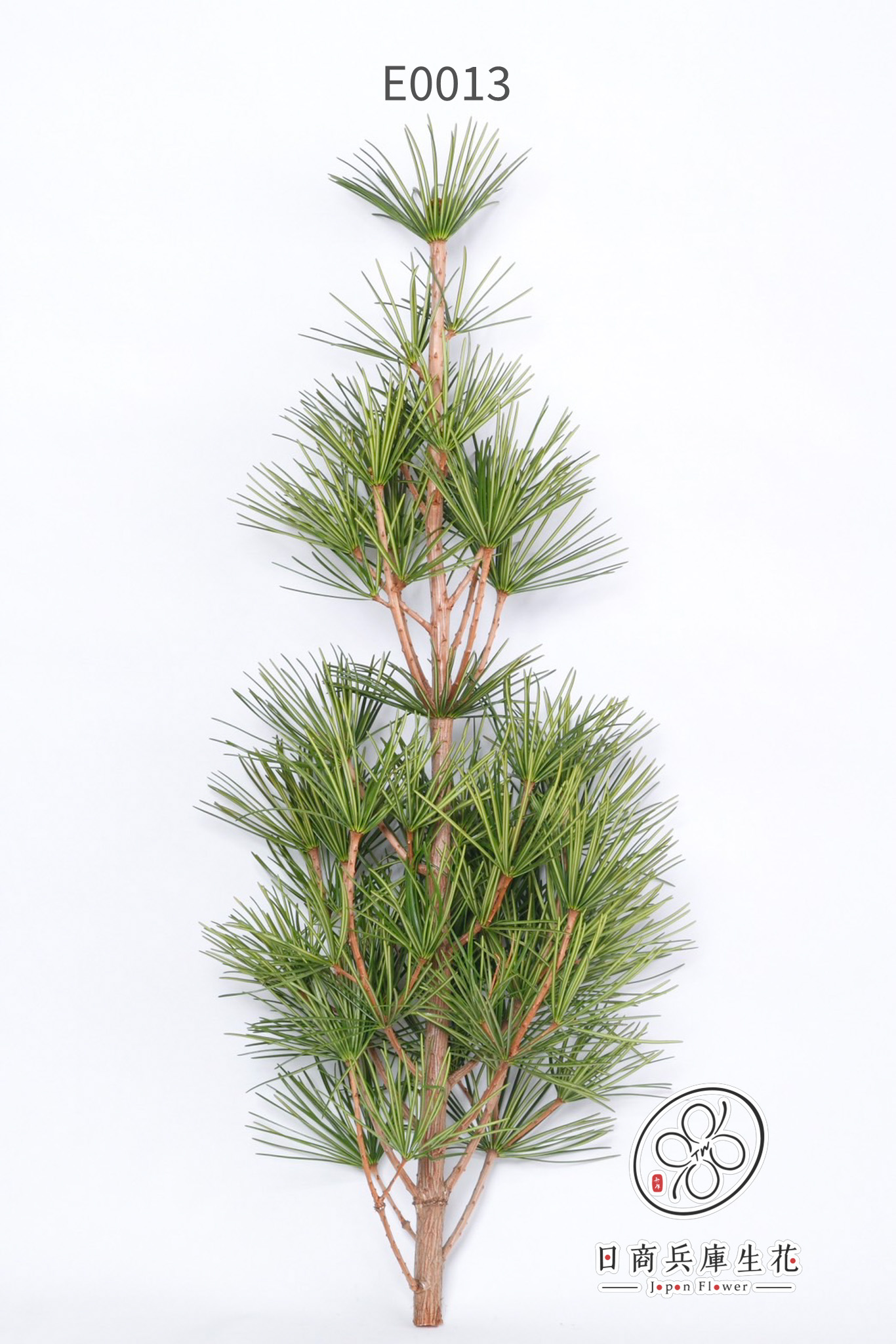 高野金松-E0013 (3) 日本進口高野金松