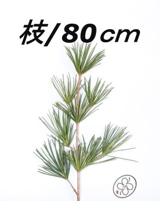 日本進口高野金松