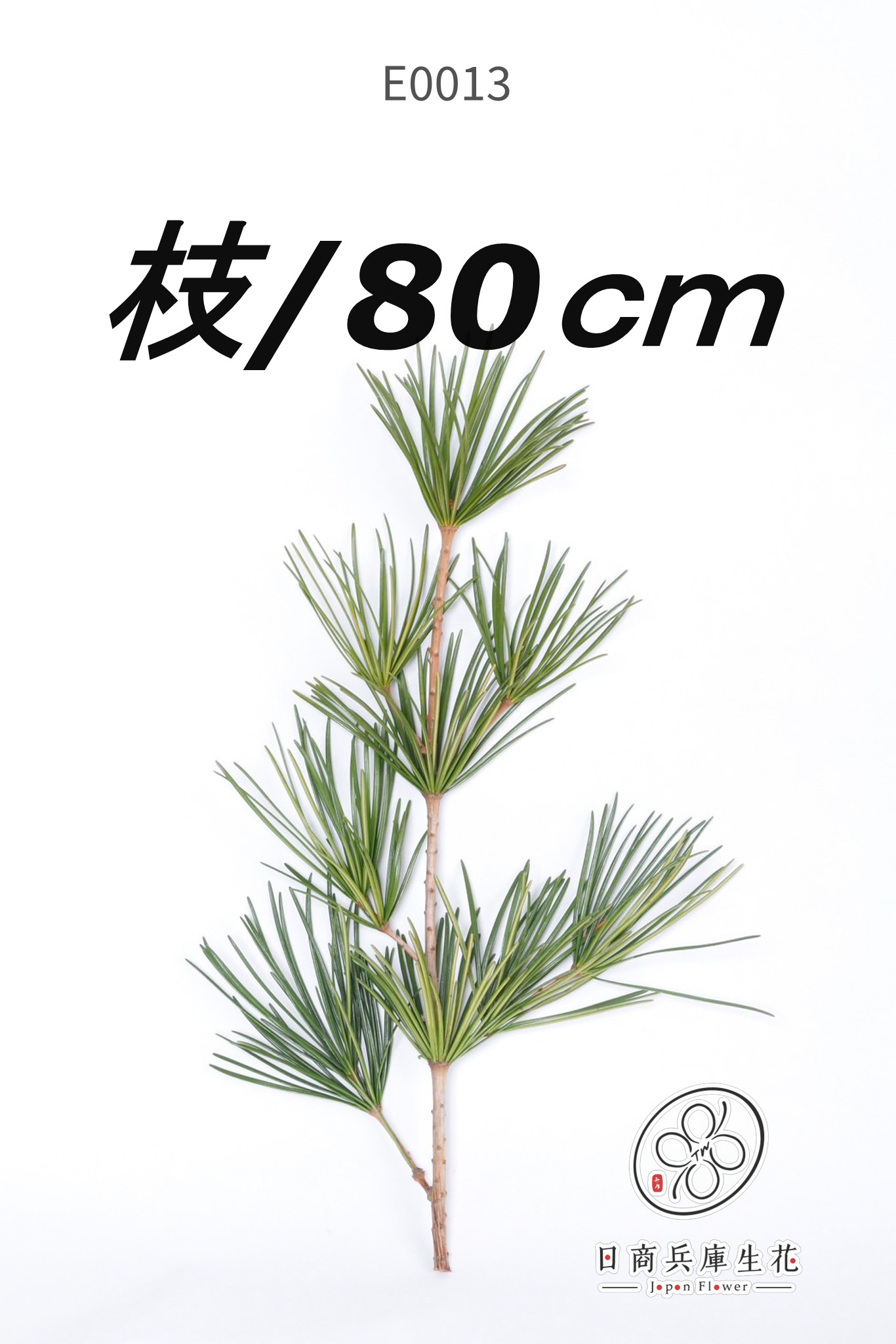 高野金松-E0013 (eda80cm) 日本進口高野金松