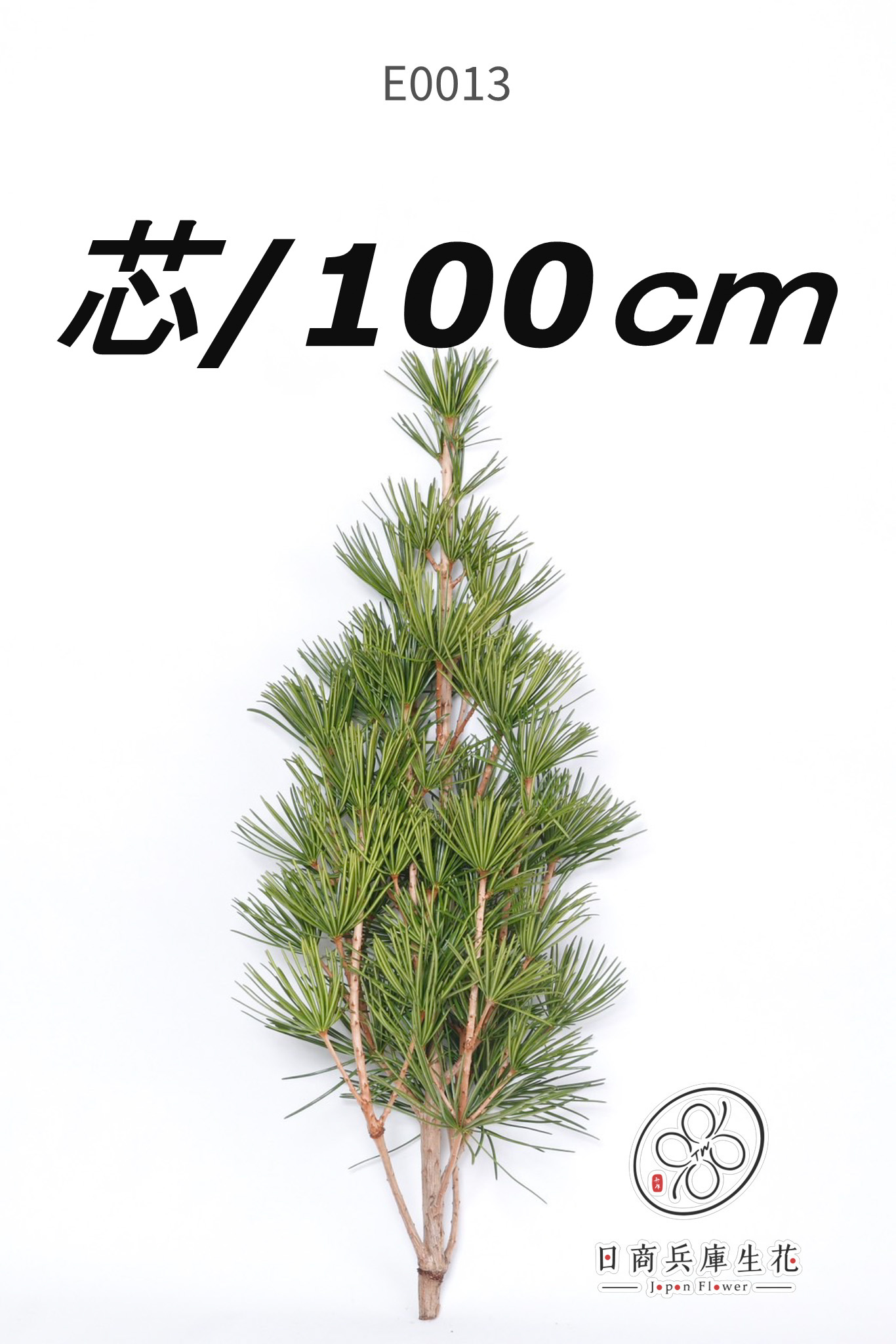 高野金松-E0013 (shin100cm) 日本進口高野金松