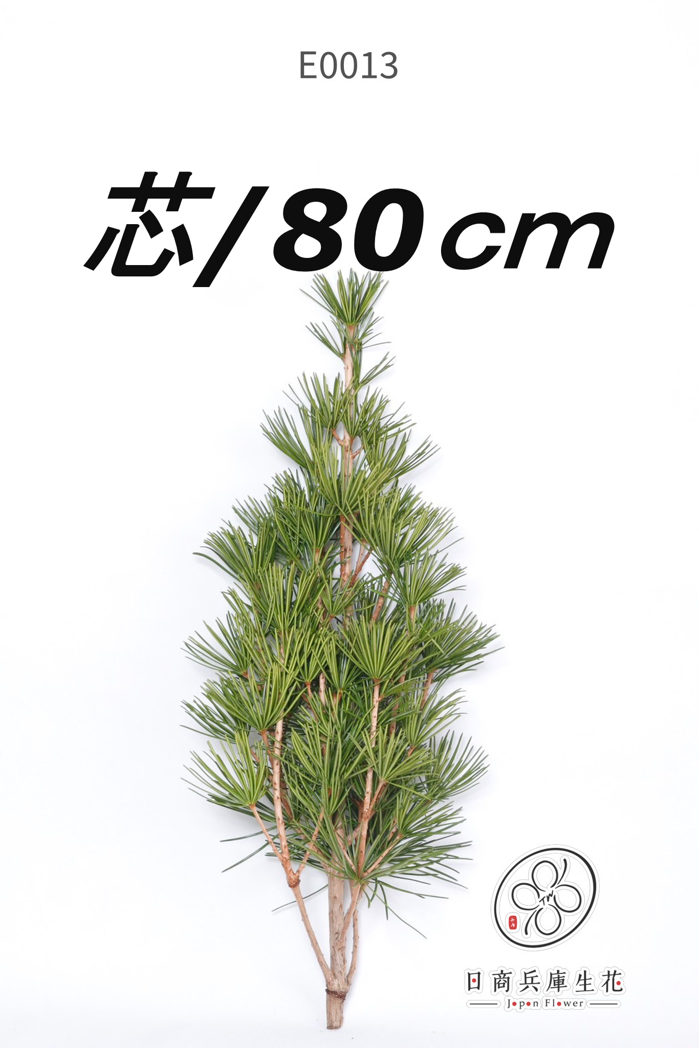 高野金松-E0013 (shin80cm) 日本進口高野金松