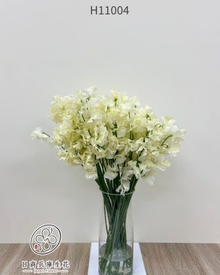 日本進口香碗豆