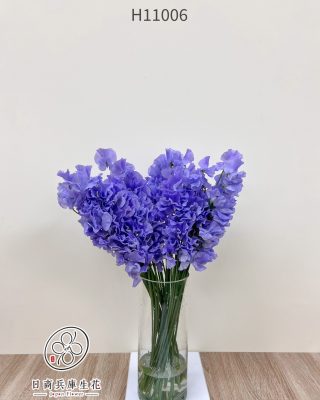日本進口香碗豆
