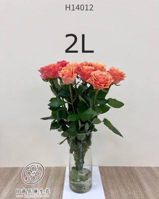 日本進口玫瑰