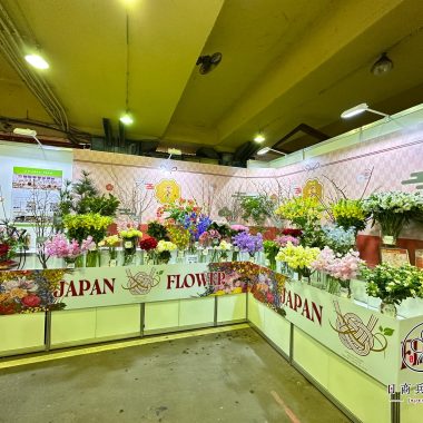 鮮花展示