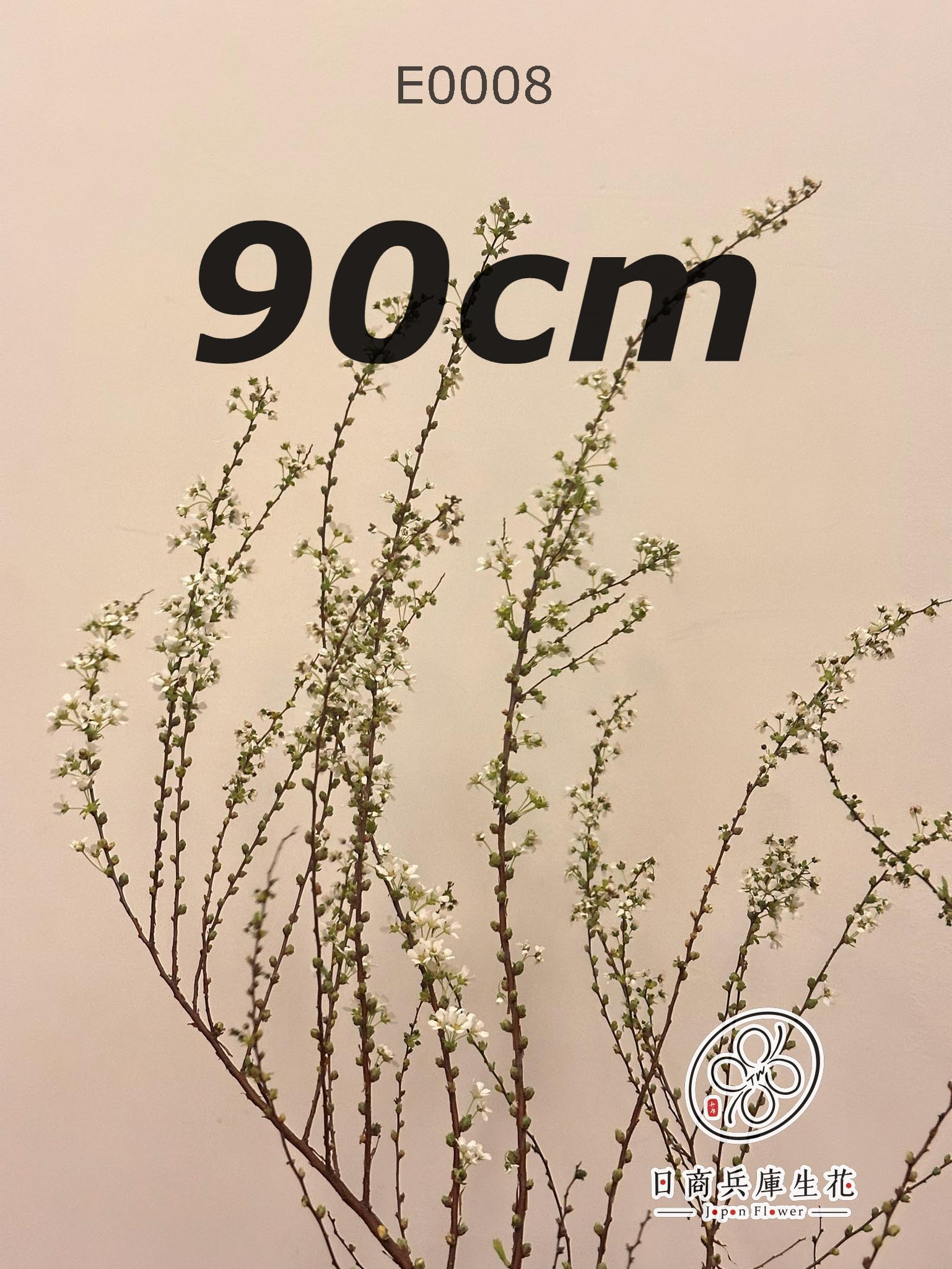 E0008 (90cm) 日本進口雪柳